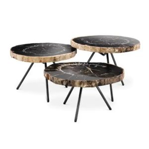 Stolik kawowy ze skamieniałego drewna De Soto Eichholtz zestaw 3 szt.