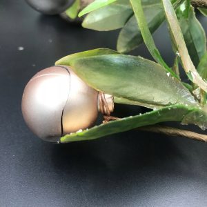 a6f1064f7360e3d548c887fe67e6f068