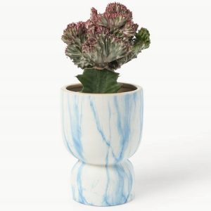 1eb355f54bcb355e678029eb54d1408e