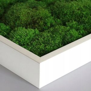 d7056a16f5e43ff8cca3c66ed72a70a1