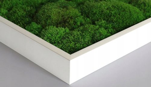 d7056a16f5e43ff8cca3c66ed72a70a1