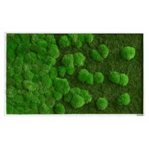 Dekoracja ścienna obraz z mchu leśnego i kulistego 100x60cm styleGREEN