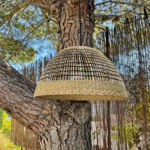 a45e3e51f17b829bb3fd767f1e3aefe3