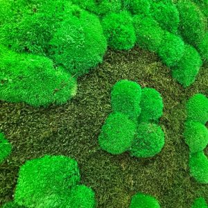 87d113a530aa871a2cf1883b53428f7a