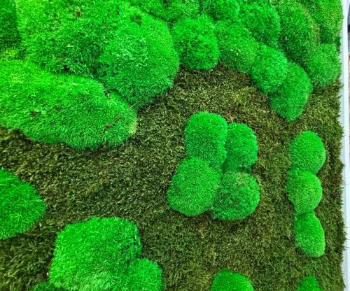 87d113a530aa871a2cf1883b53428f7a