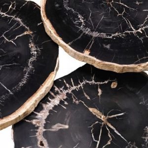 950f3ccf95c7079265474d7d65b79885