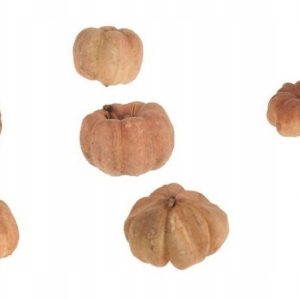 fd1cd14fc96f3ca345e612f91d41c198