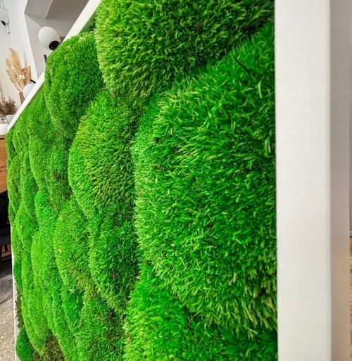 204f94d442b52b5821e368b9d4c09784