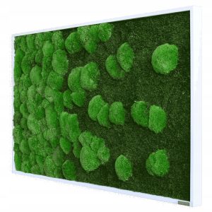 e0b2d5636aff19d8ecc2839feba6887f