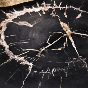 541943cabf00cbc0426581916ccc03ca