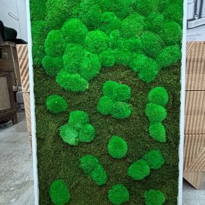 4c9c638015b33b869301473fd8810a5b