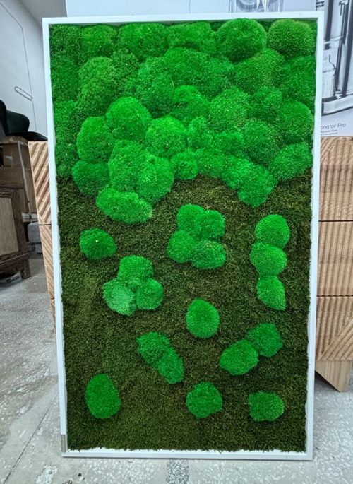 4c9c638015b33b869301473fd8810a5b