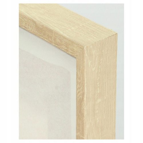 66b9adbd3f625e1c0b7e7ed441834708