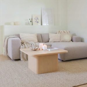 ce5525562cee9025cceebf0dd7ec8e35