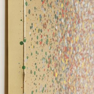 53a223e38fd36d53c9ec4f56a2bc2ec7