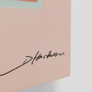 87e9510e9353ce73216aabae39c20e43