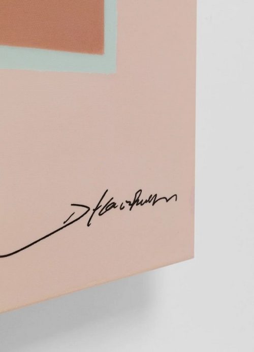 87e9510e9353ce73216aabae39c20e43