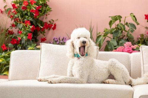 c67ea03c6ba6a6ad693c552c155650ad