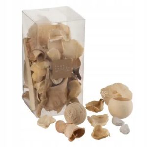 e51fffaa36c9bf923355abb8b785a5a5