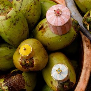 ae2d3fc09ae5ea094b1a4008facbf092