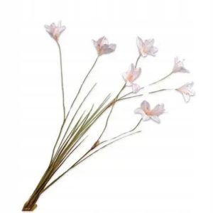 24c024226084e252c30b3c4934b19041