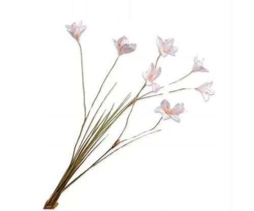 24c024226084e252c30b3c4934b19041