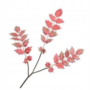 75e4c9bd439ffd2f1cb2ef0ce95651fa